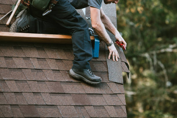 Best Roof Restoration Services  in Platte, SD